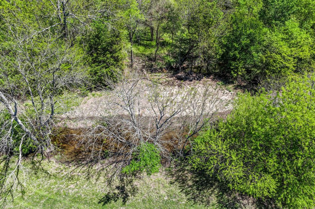 0 Fm 1497 Paris, TX 75462 - Photo 9 of 29 a view of a yard with plants and tree
