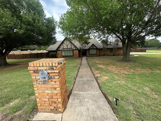 a view of a trees in a park