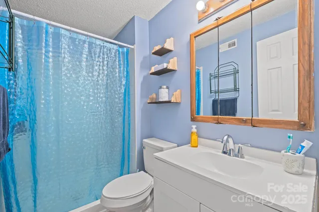 a bathroom with a sink a toilet and shower curtain