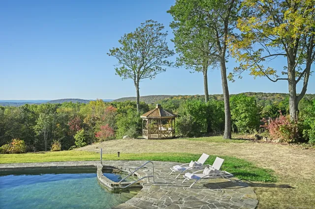 a view of a park with large trees