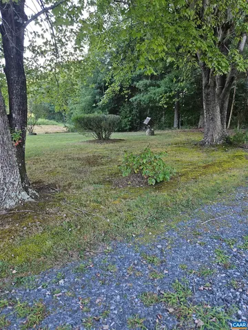a view of outdoor space with trees all around
