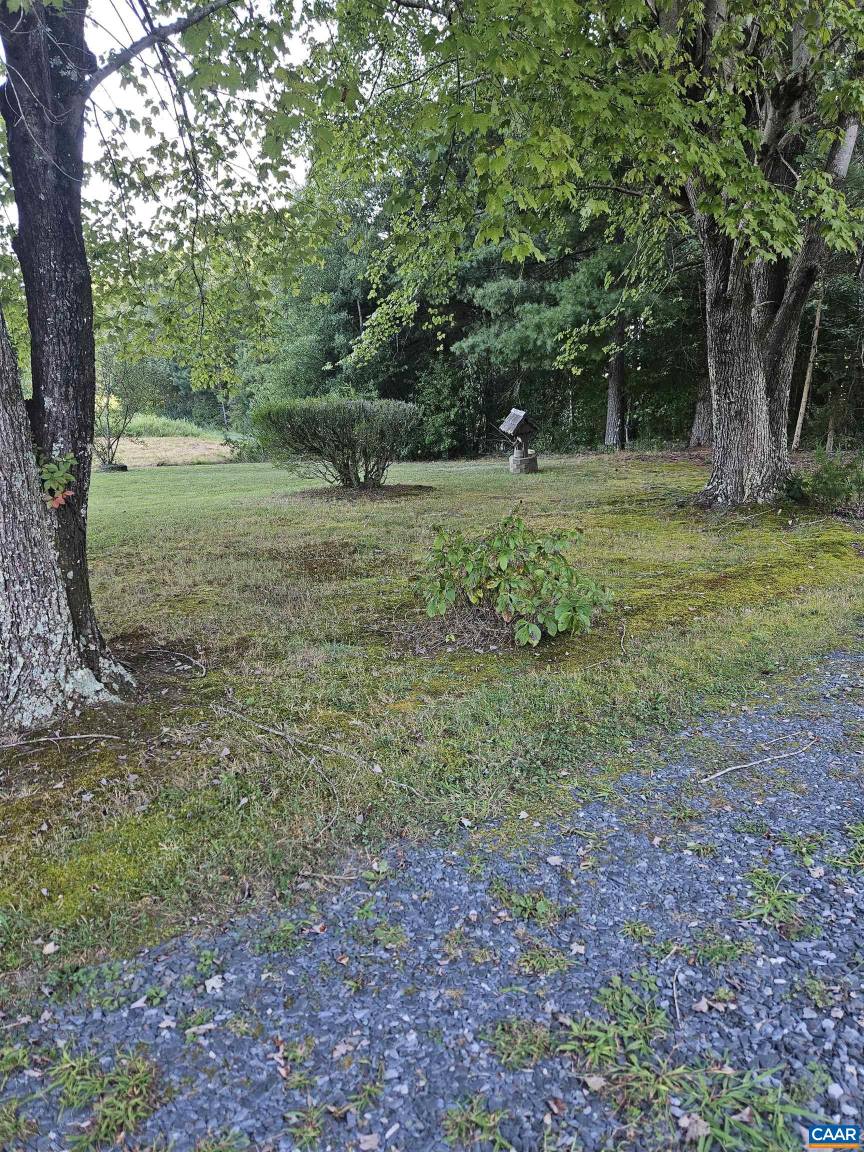 794 Jenkins Church Road Cumberland, VA 23040 - Photo 5 of 7 a view of outdoor space with trees all around