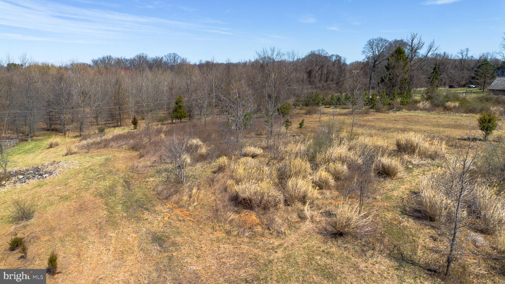 6001 Riggs Road Laytonsville, MD 20882 - Photo 5 of 12 a view of a yard with a tree