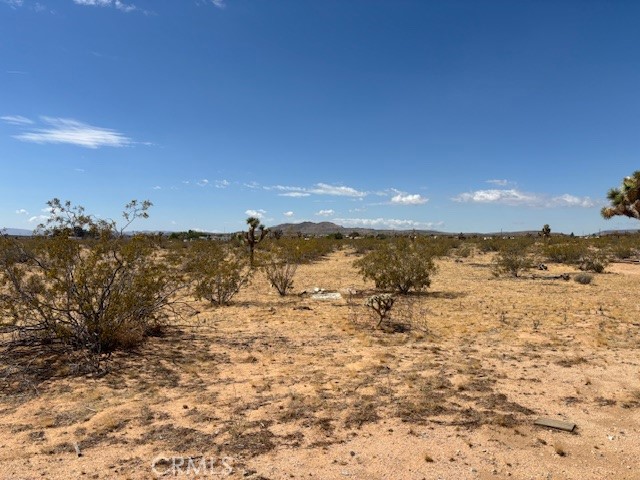 1 Mitch Road Landers, CA 92285 - Photo 6 of 8