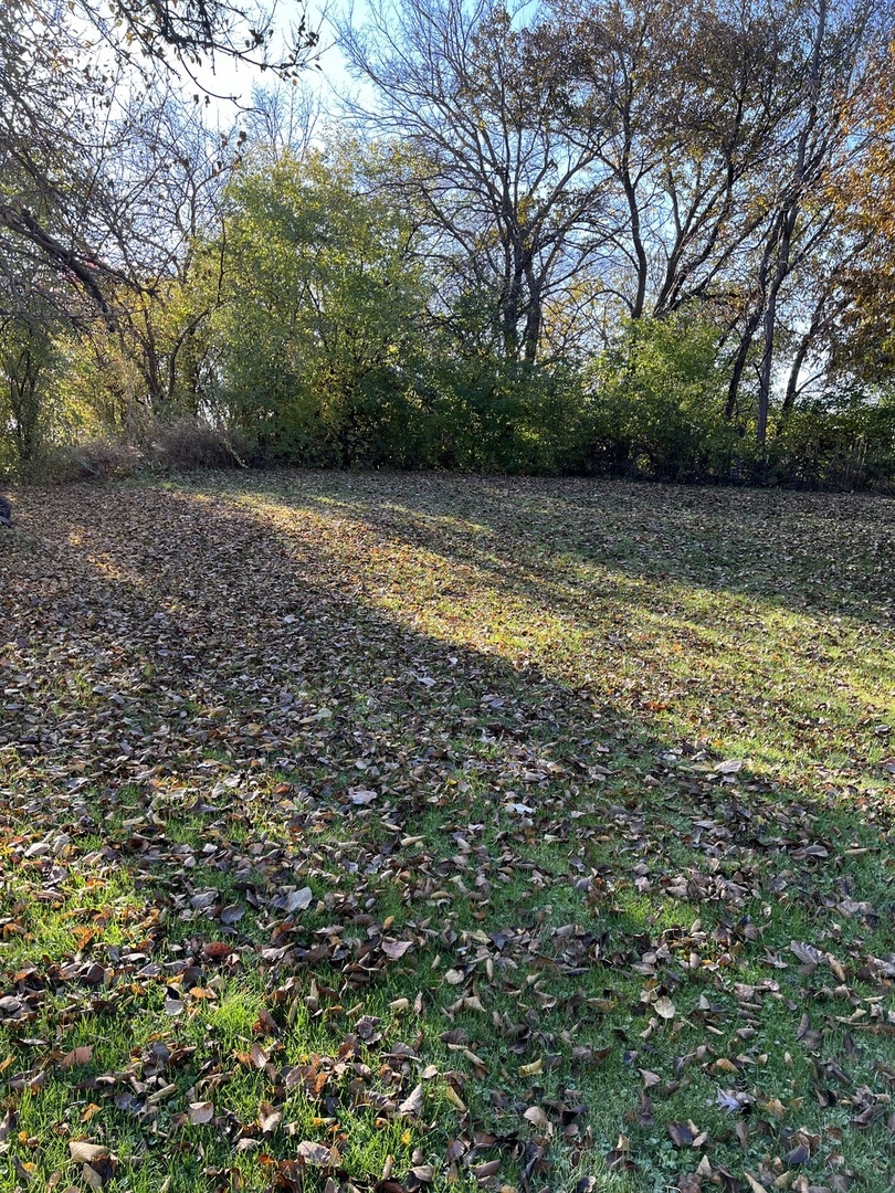 11500 Bell Road Lemont, IL 60439 - Photo 4 of 7 a view of a yard with a tree