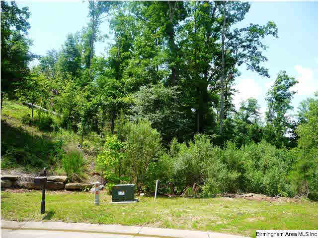 4299 Kings Mountain Ridge, Unit 754A Birmingham, AL 35242 - Photo 3 of 6