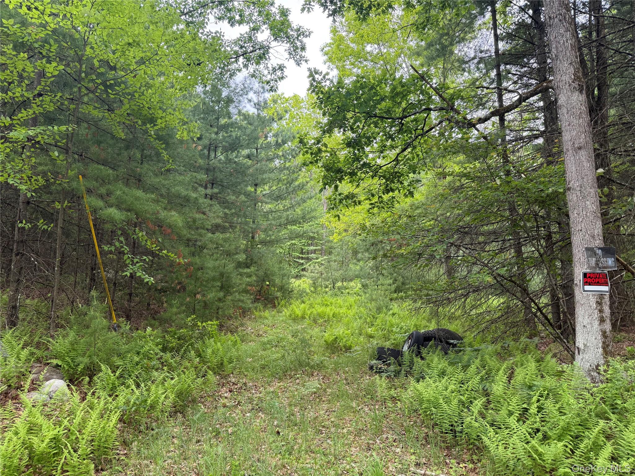 Depot Road Wurtsboro, NY 12790 - Photo 2 of 12 Property entrance.