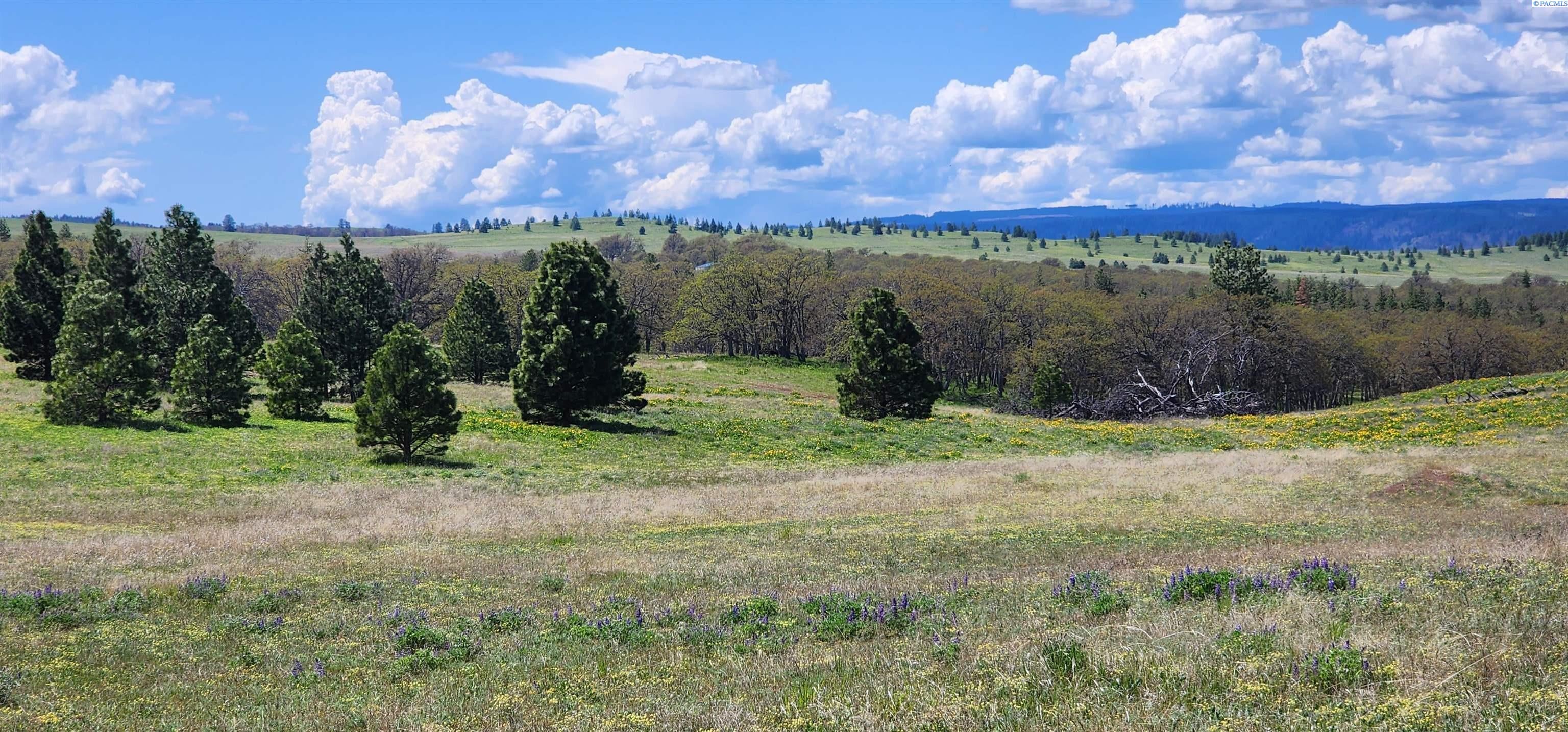 Lot 19 Schilling Road Lyle, WA 98635 - Photo 33 of 39 Gallery Image 33