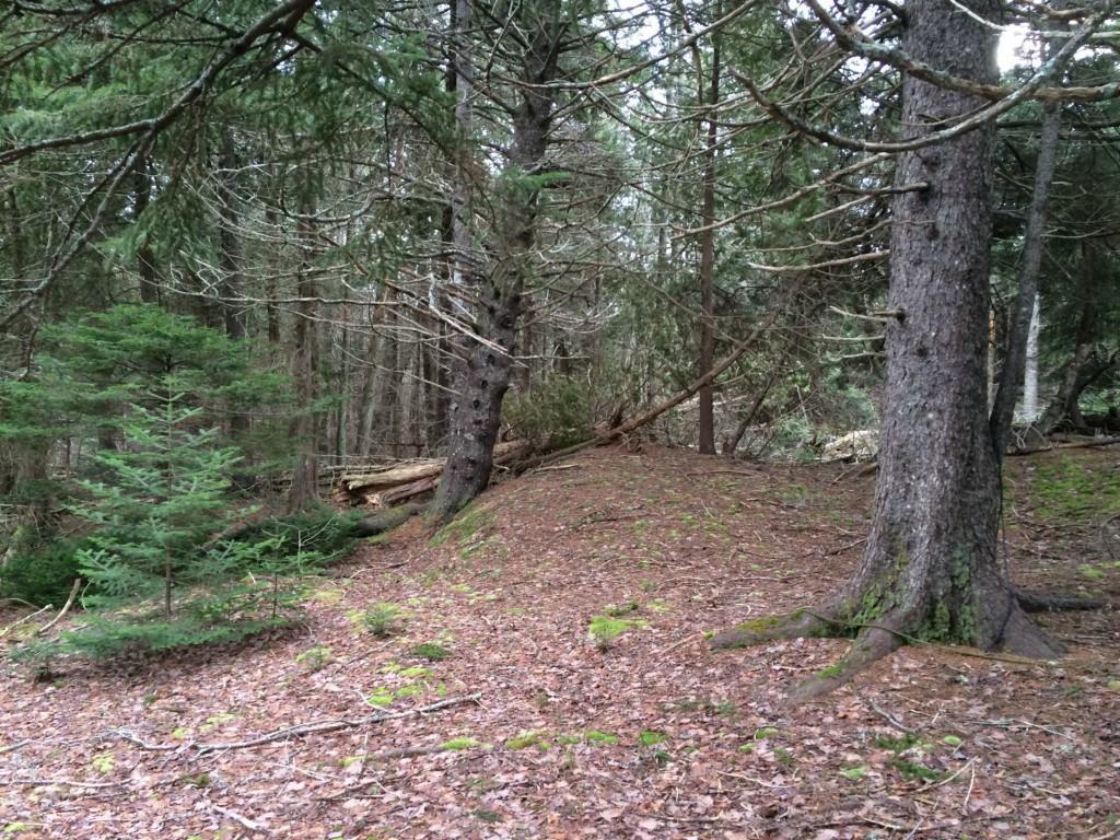 93 Cape Road Seal Cove, ME 04674 - Photo 1 of 3 Photo