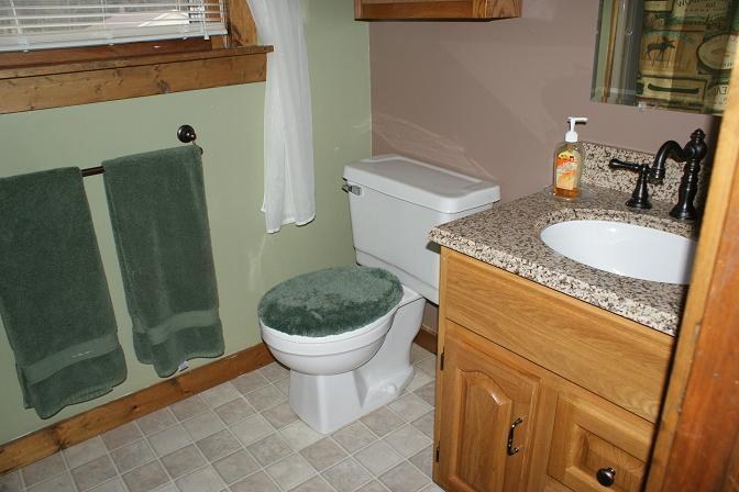 207 North Smith Bridge Road Hot Springs, VA 24445 - Photo 8 of 14 Full Bath