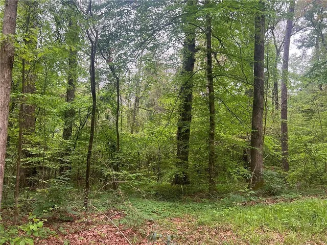 $139,000 | 0 Hooper Road, Deville, LA 71328