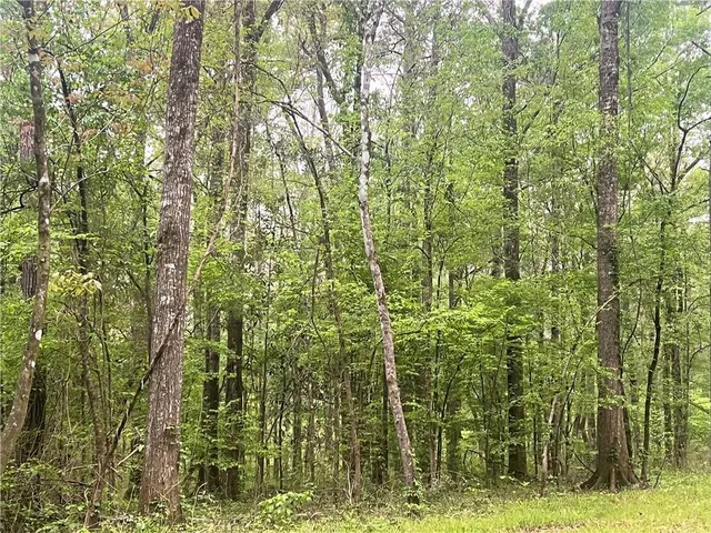 $139,000 | 0 Hooper Road, Deville, LA 71328