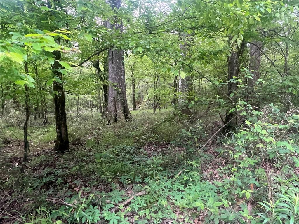 0 Hooper Road Deville, LA 71328 - Photo 13 of 45