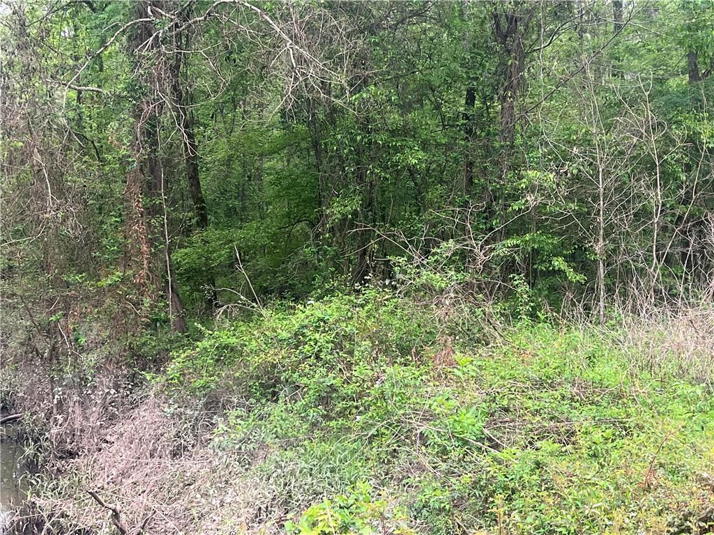 0 Hooper Road Deville, LA 71328 - Photo 14 of 45