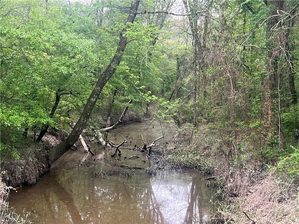 0 Hooper Road Deville, LA 71328 - Photo 17 of 45