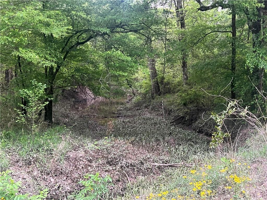 0 Hooper Road Deville, LA 71328 - Photo 18 of 45