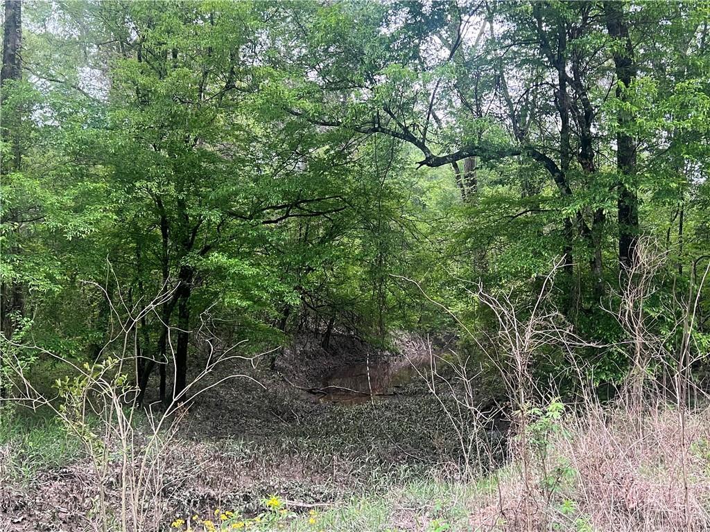 0 Hooper Road Deville, LA 71328 - Photo 19 of 45