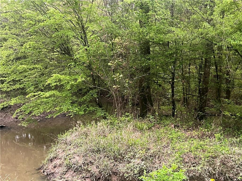 0 Hooper Road Deville, LA 71328 - Photo 20 of 45