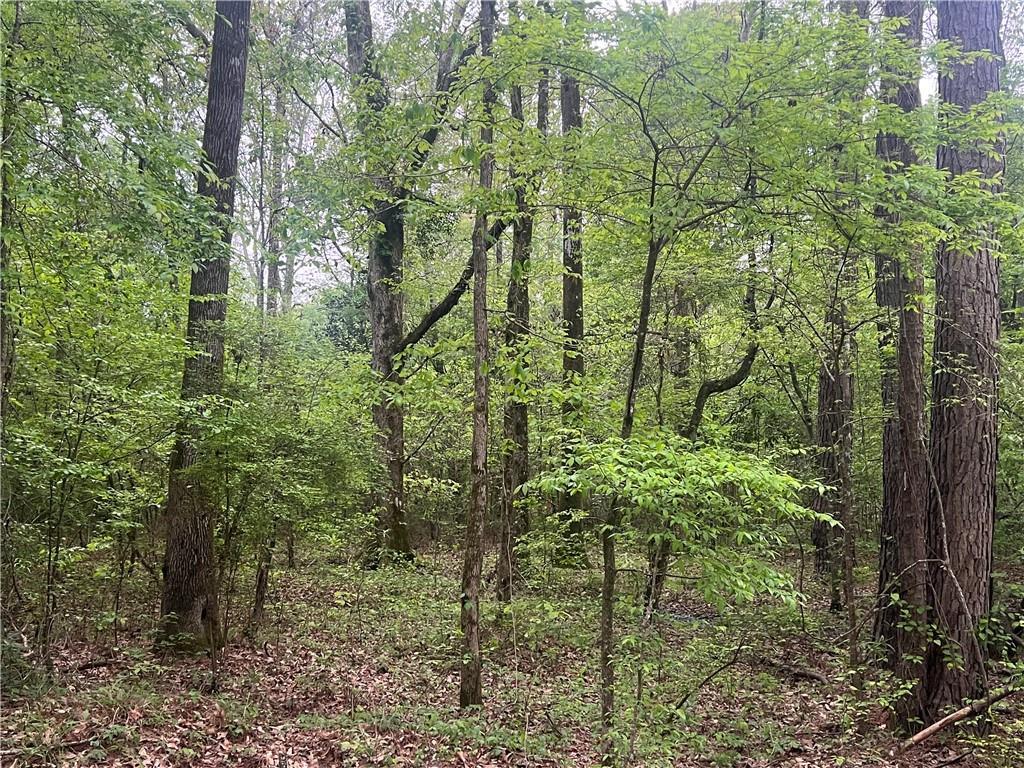 0 Hooper Road Deville, LA 71328 - Photo 24 of 45