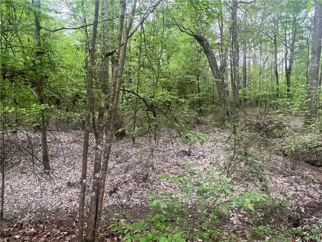 $139,000 | 0 Hooper Road, Deville, LA 71328