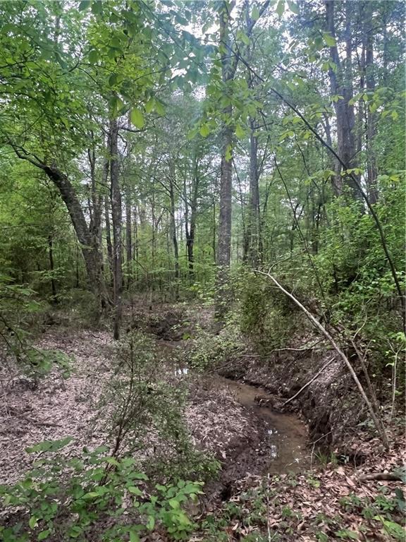 0 Hooper Road Deville, LA 71328 - Photo 27 of 45