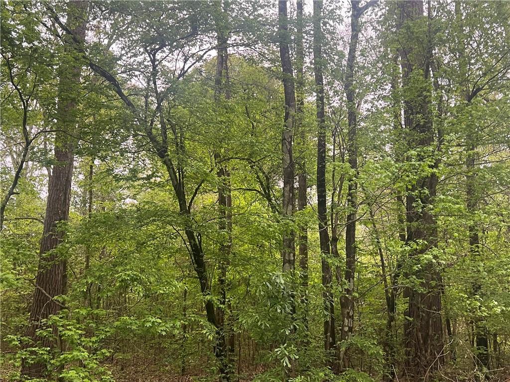 0 Hooper Road Deville, LA 71328 - Photo 29 of 45