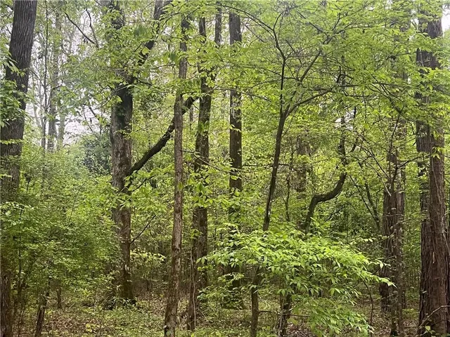 $139,000 | 0 Hooper Road, Deville, LA 71328