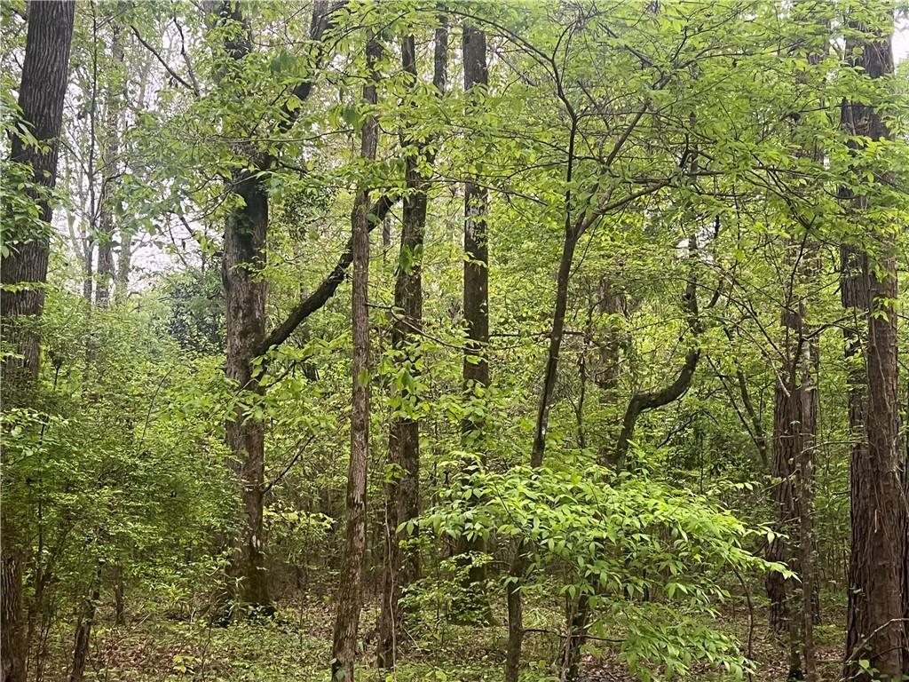 0 Hooper Road Deville, LA 71328 - Photo 30 of 45