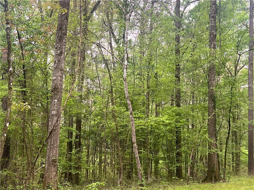 0 Hooper Road Deville, LA 71328 - Photo 3 of 45