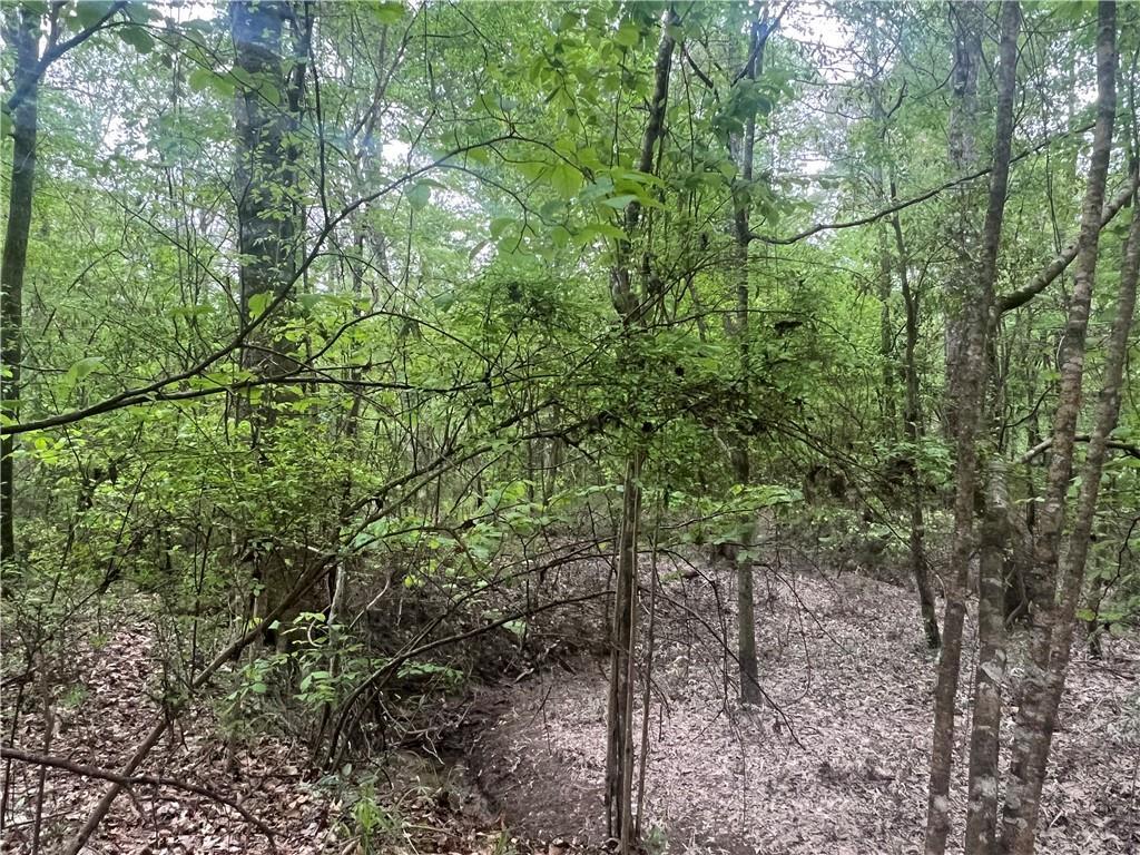 0 Hooper Road Deville, LA 71328 - Photo 31 of 45