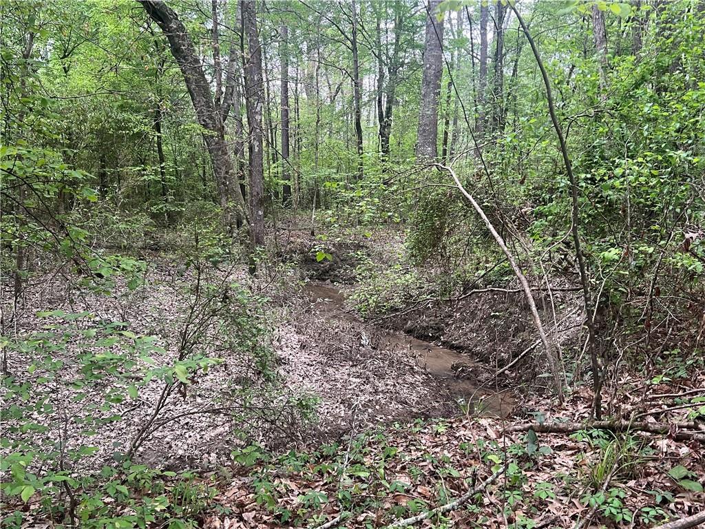 0 Hooper Road Deville, LA 71328 - Photo 32 of 45