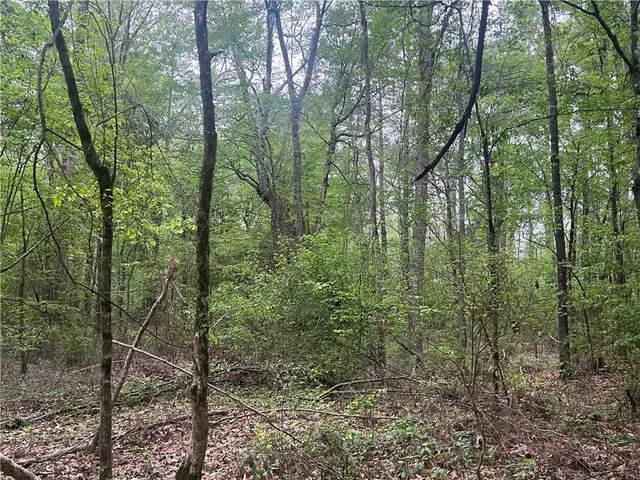 $139,000 | 0 Hooper Road, Deville, LA 71328