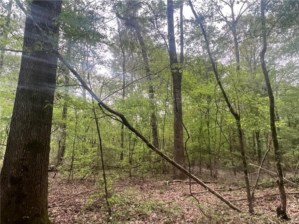 0 Hooper Road Deville, LA 71328 - Photo 35 of 45