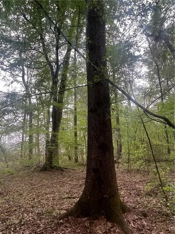 $139,000 | 0 Hooper Road, Deville, LA 71328