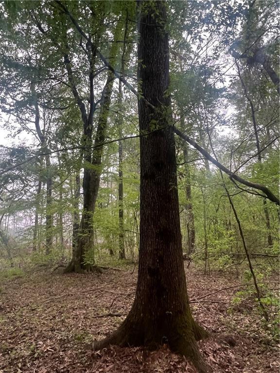 0 Hooper Road Deville, LA 71328 - Photo 36 of 45