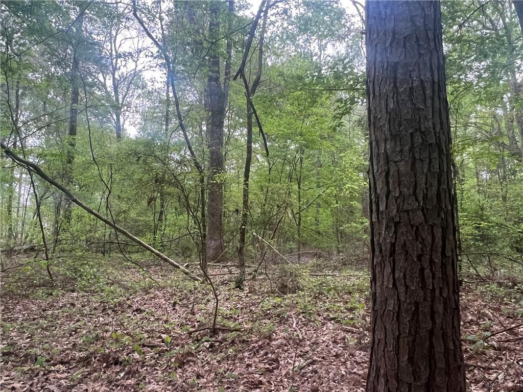 0 Hooper Road Deville, LA 71328 - Photo 37 of 45