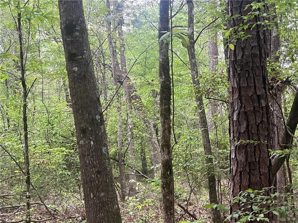 0 Hooper Road Deville, LA 71328 - Photo 38 of 45