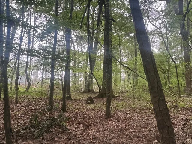 $139,000 | 0 Hooper Road, Deville, LA 71328