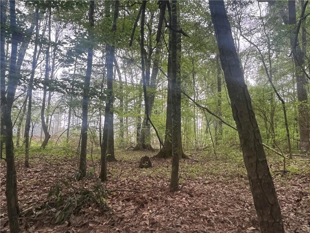 0 Hooper Road Deville, LA 71328 - Photo 39 of 45