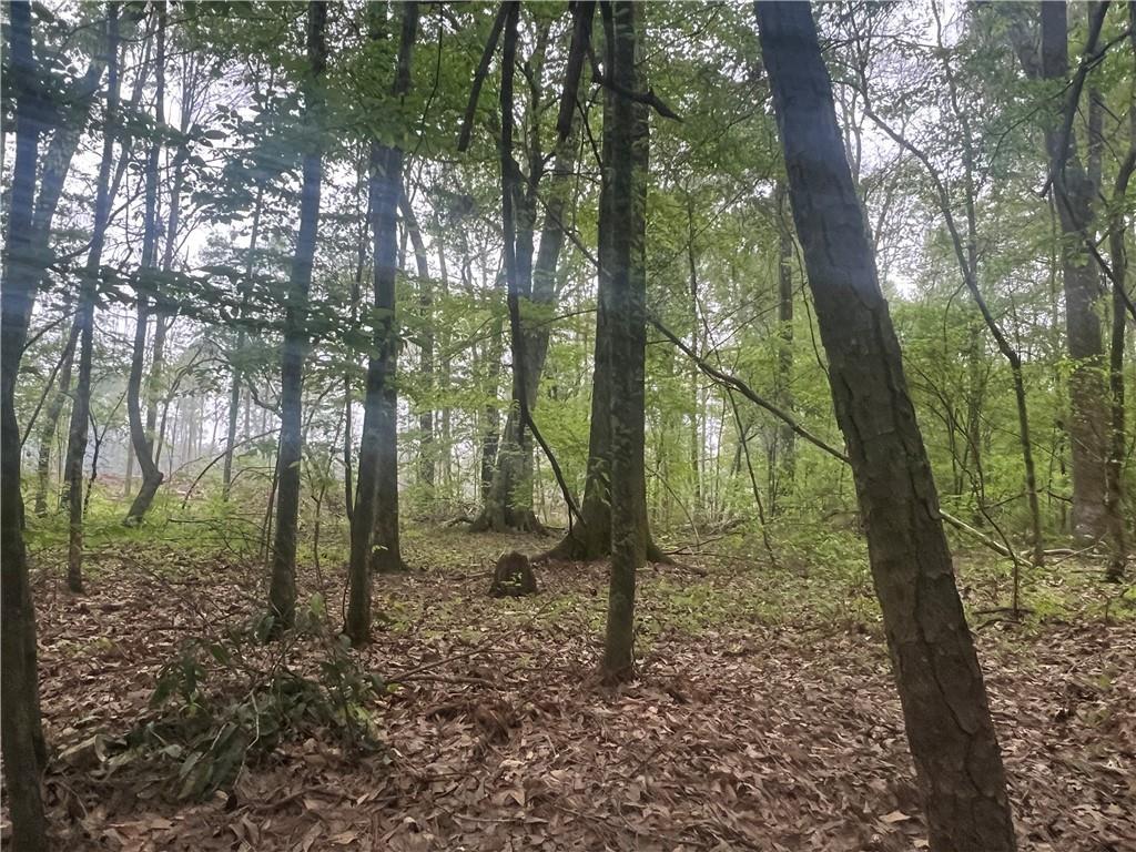 0 Hooper Road Deville, LA 71328 - Photo 40 of 45