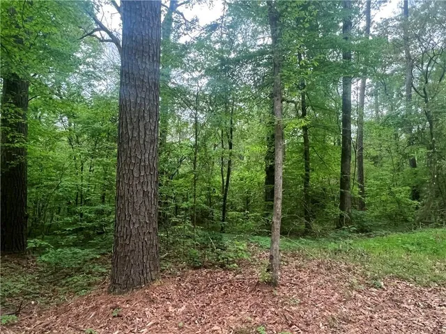 $139,000 | 0 Hooper Road, Deville, LA 71328