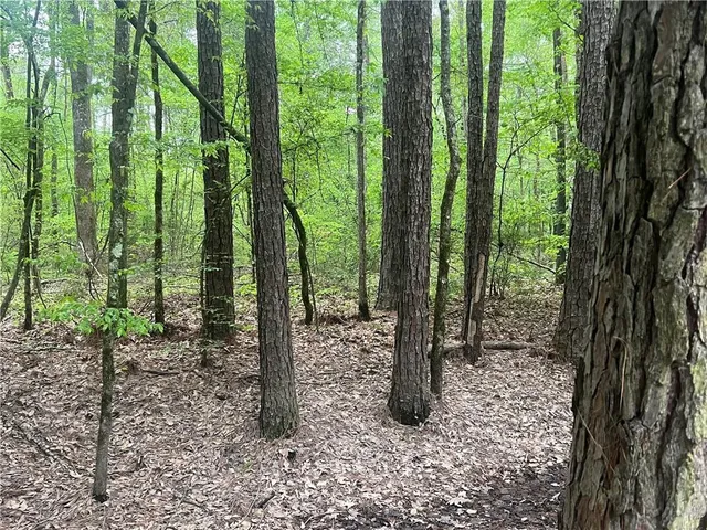 $139,000 | 0 Hooper Road, Deville, LA 71328