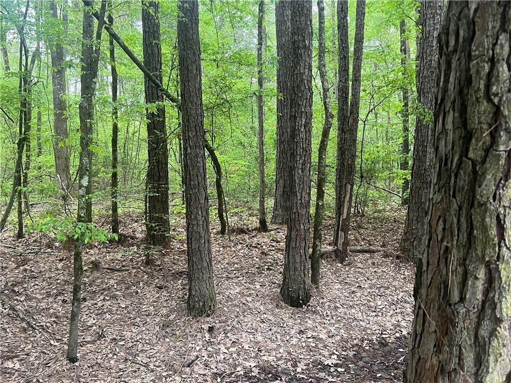 0 Hooper Road Deville, LA 71328 - Photo 41 of 45