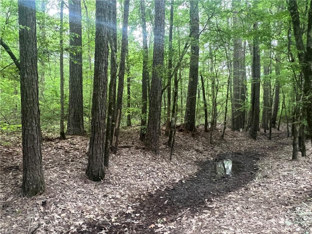 0 Hooper Road Deville, LA 71328 - Photo 42 of 45