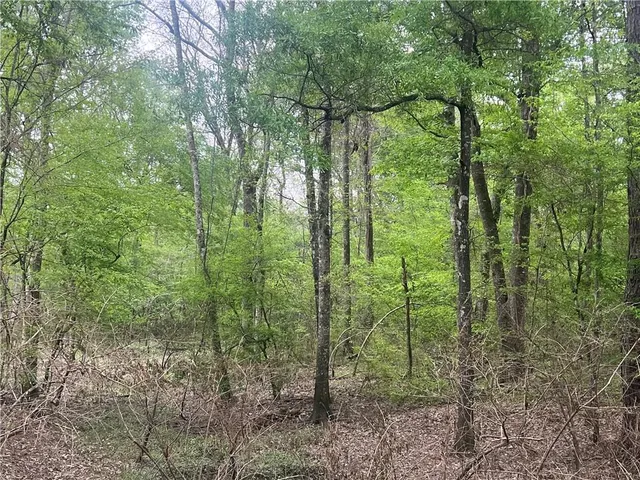 $139,000 | 0 Hooper Road, Deville, LA 71328