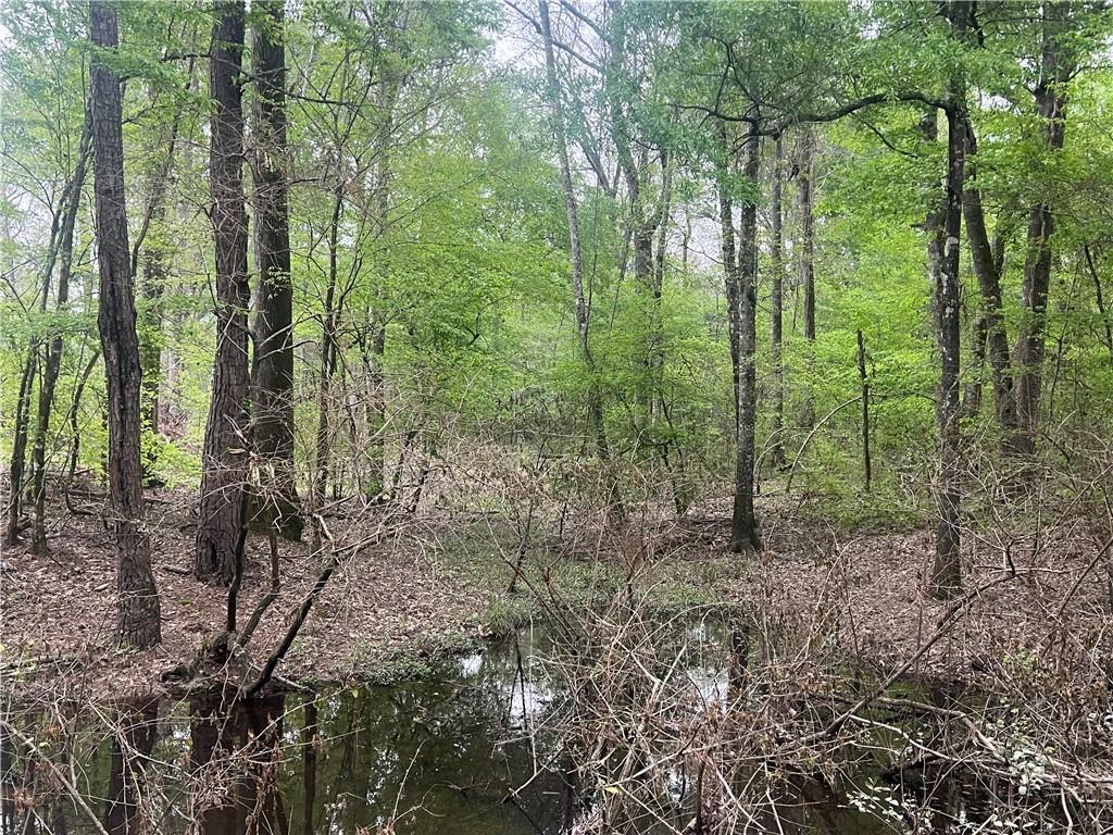 0 Hooper Road Deville, LA 71328 - Photo 45 of 45