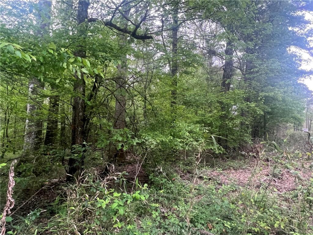 0 Hooper Road Deville, LA 71328 - Photo 5 of 45