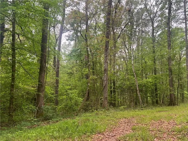 $139,000 | 0 Hooper Road, Deville, LA 71328