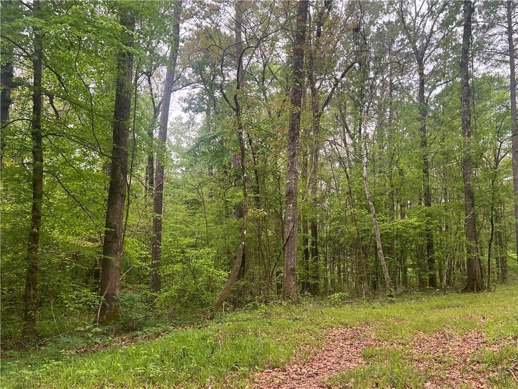 0 Hooper Road Deville, LA 71328 - Photo 6 of 45