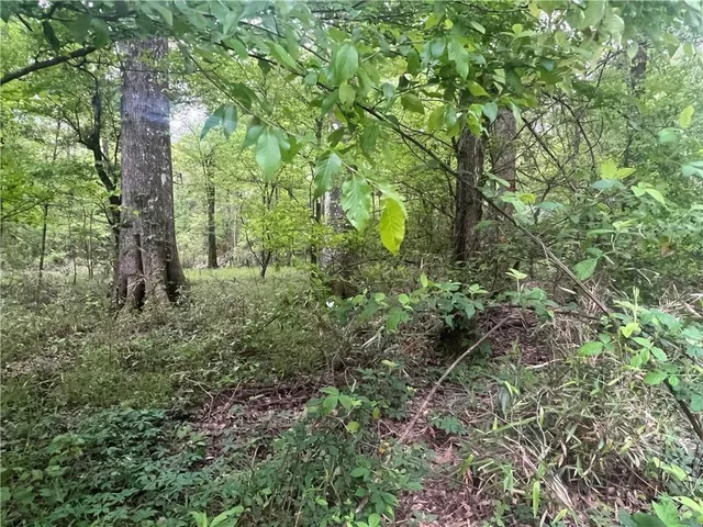 $139,000 | 0 Hooper Road, Deville, LA 71328